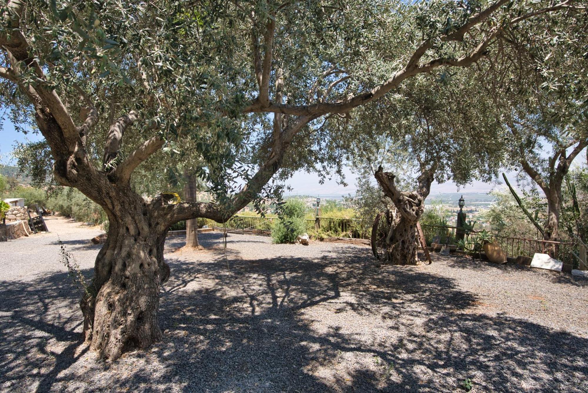 Hameiri Estate Rosh Pinna Bagian luar foto